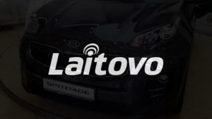 Автошторки Laitovo
