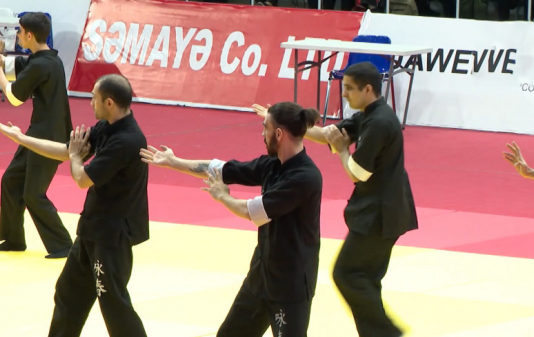 Боевое искусство: в Баку прошел чемпионат по вин-чун