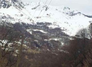 Землетрясение магнитудой 3,1 балла зафиксированы в Алтайском крае