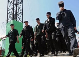 Точно: по каким статьям будет проходить амнистия в 2018 году