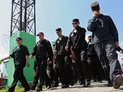 Точно: по каким статьям будет проходить амнистия в 2018 году