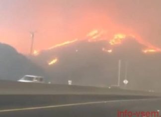 Мама с ребенком оказались в эпицентре пожара в Калифорнии (ВИДЕО)
