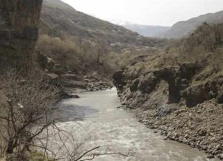 Сель в Дагестане унес стадо овец, пять машин и восемь мотороллеров