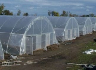 Какой обогрев подойдет для ваших культур?