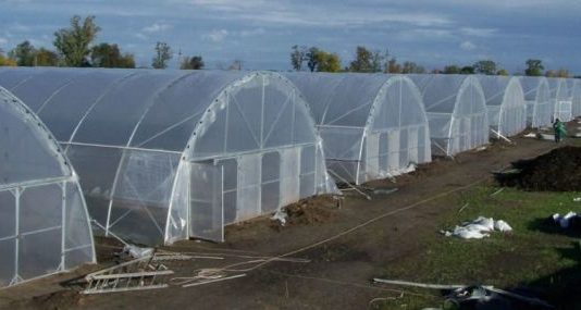 Какой обогрев подойдет для ваших культур?