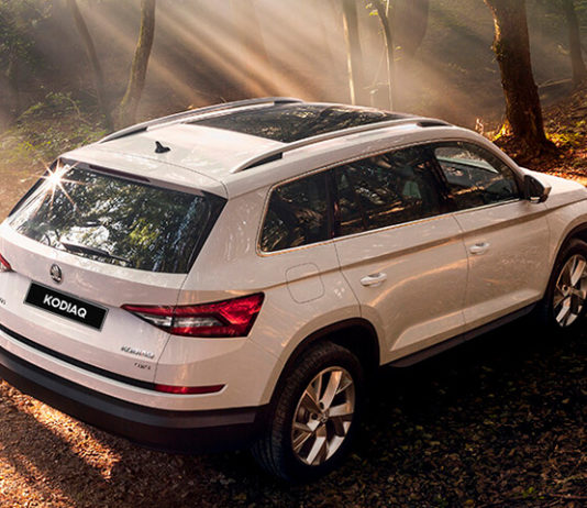 Причины популярности автомобилей Шкода