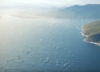 Сотни иностранных кораблей покидают бухту Ольга