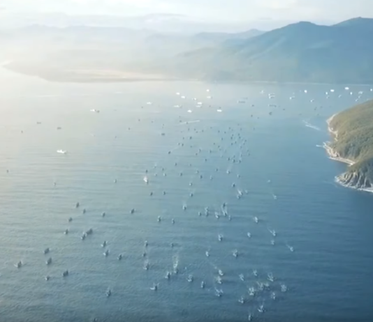 Сотни иностранных кораблей покидают бухту Ольга