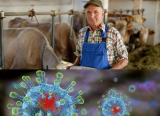 Немецкие ученые разгадали загадку коронавируса: бояться инфекции стоит девять дней