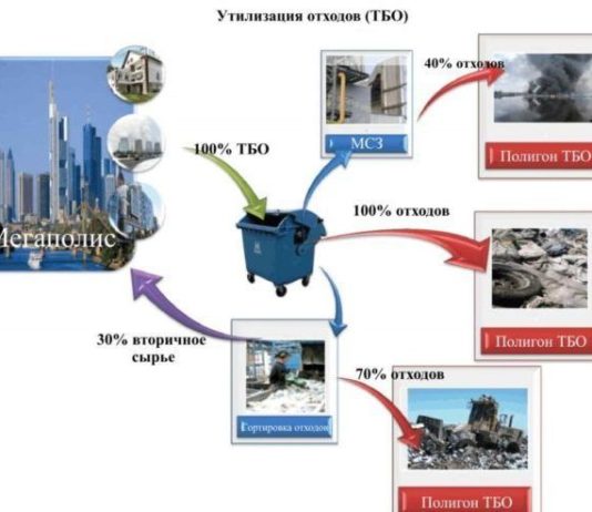 Основные виды мусора и особенности их вывоза