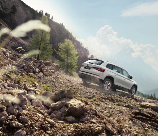 Как избавиться от повреждений кожи в салоне своими руками