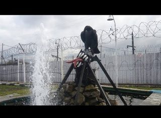 Общие сведения о тюрьме Черный беркут