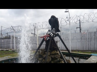 Общие сведения о тюрьме Черный беркут