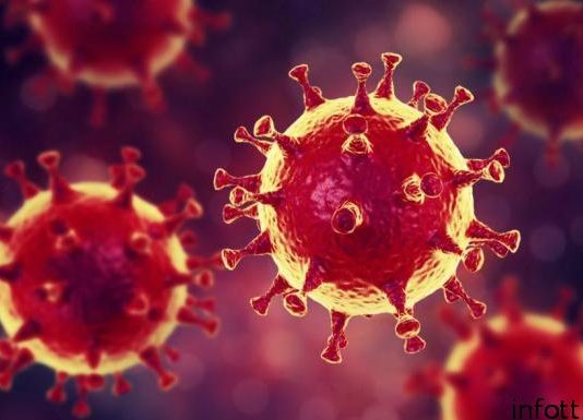 Коронавирус сегодня: все, что нужно знать, чтобы не заболеть коронавирусом. Информация, советы, вопросы и ответы