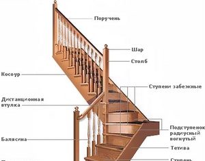 Какие элементы лестницы являются наиболее важными?