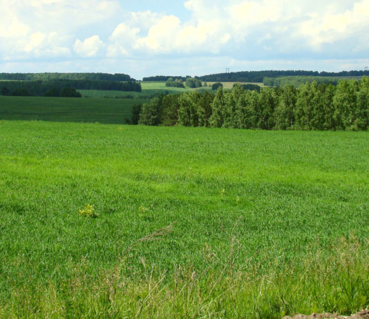 Преимущества земельных участков для ИЖС