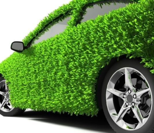 Особенности Зеленой карты