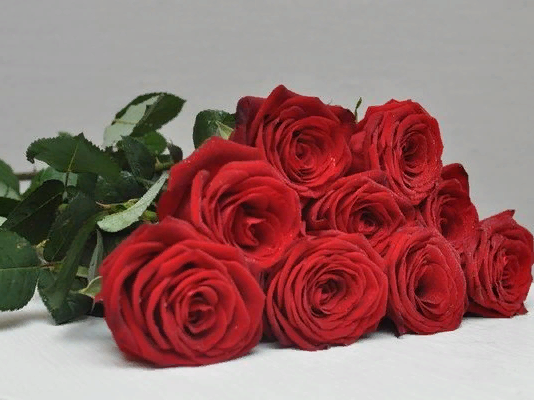 Можно ли дарить 11 роз девушке?