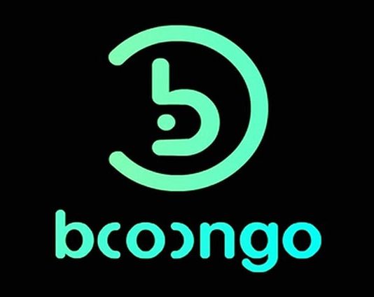 Booongo: популярный игровой провайдер