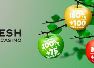 Чем же примечательна платформа Fresh Casino?