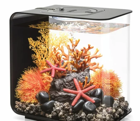 Декор аквариума: какие использовать материалы