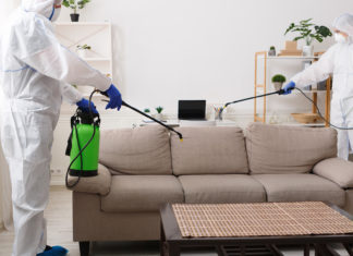 Преимущества использования профессиональных услуг по дезинфекции