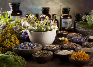 Фитотерапия — что это? Преимущества и недостатки