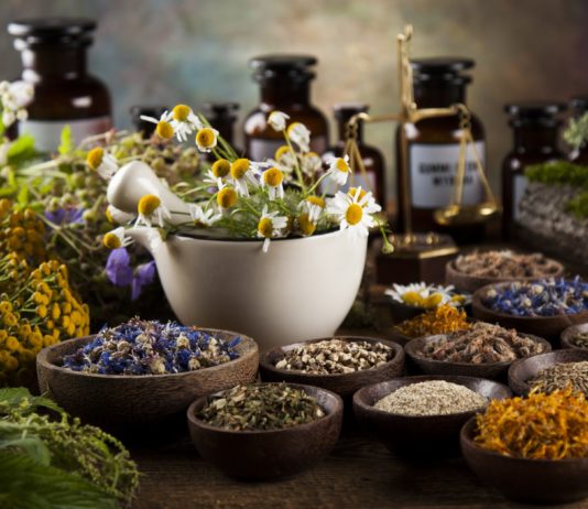 Фитотерапия — что это? Преимущества и недостатки