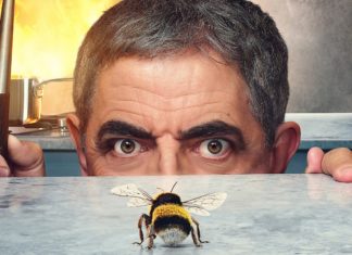 Человек против пчелы: обзор сериала