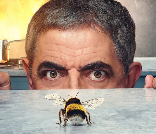 Человек против пчелы: обзор сериала
