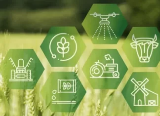 «Верум Агро» — инновационная цифровая экосистема для торговли сельхозтехникой