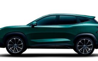 Dashing — цена и качества