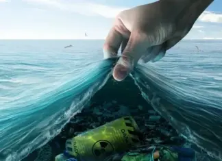 Загрязнение мирового океана: глобальная угроза для каждого из нас