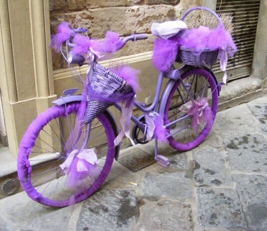 Фиолетовые велосипеды: яркий выбор для стильных поездок