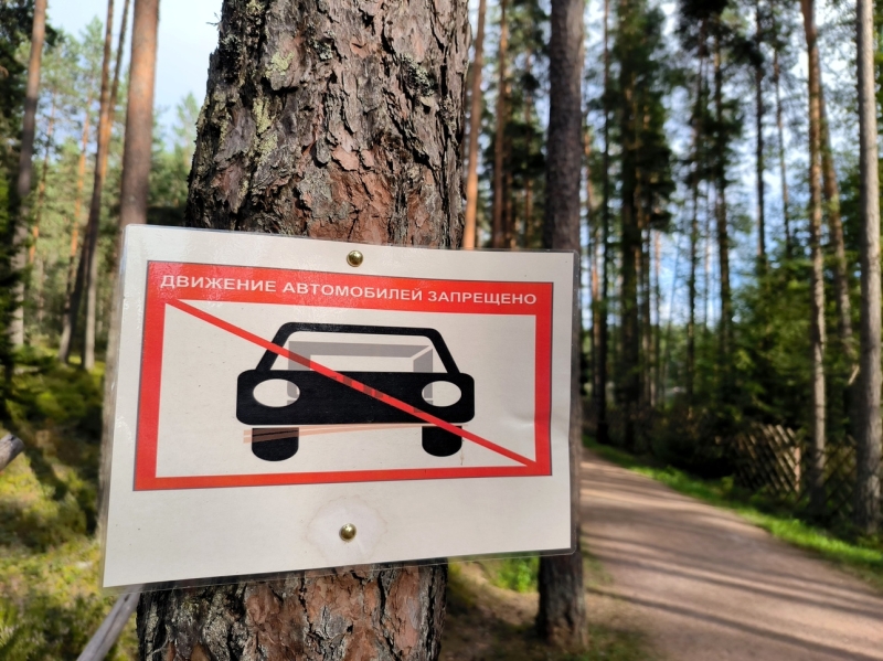 Эксперт объяснил, почему нельзя планировать развитие автопрома на 25 лет вперед