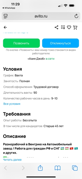 Я к болгарам уезжаю — в Будапешт: китайский автозавод ищет русских разнорабочих