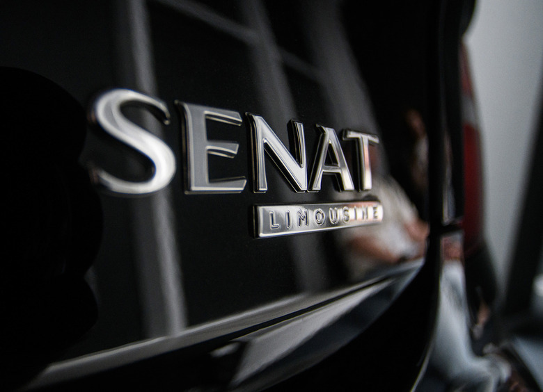 Рассекречена первая модель российского бренда Senat
